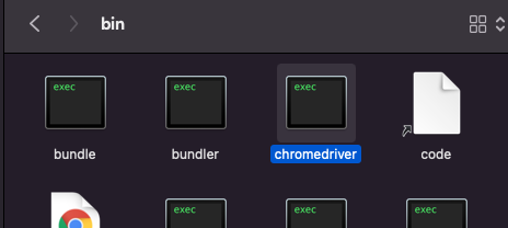 chromedriver 위치